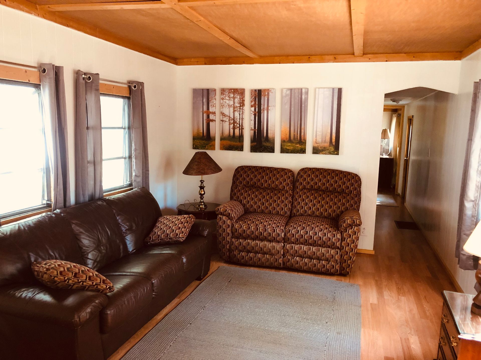 A living room with a couch , chair , lamp and paintings on the wall.