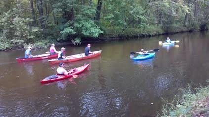a group of people are rowing kayaks down a river .