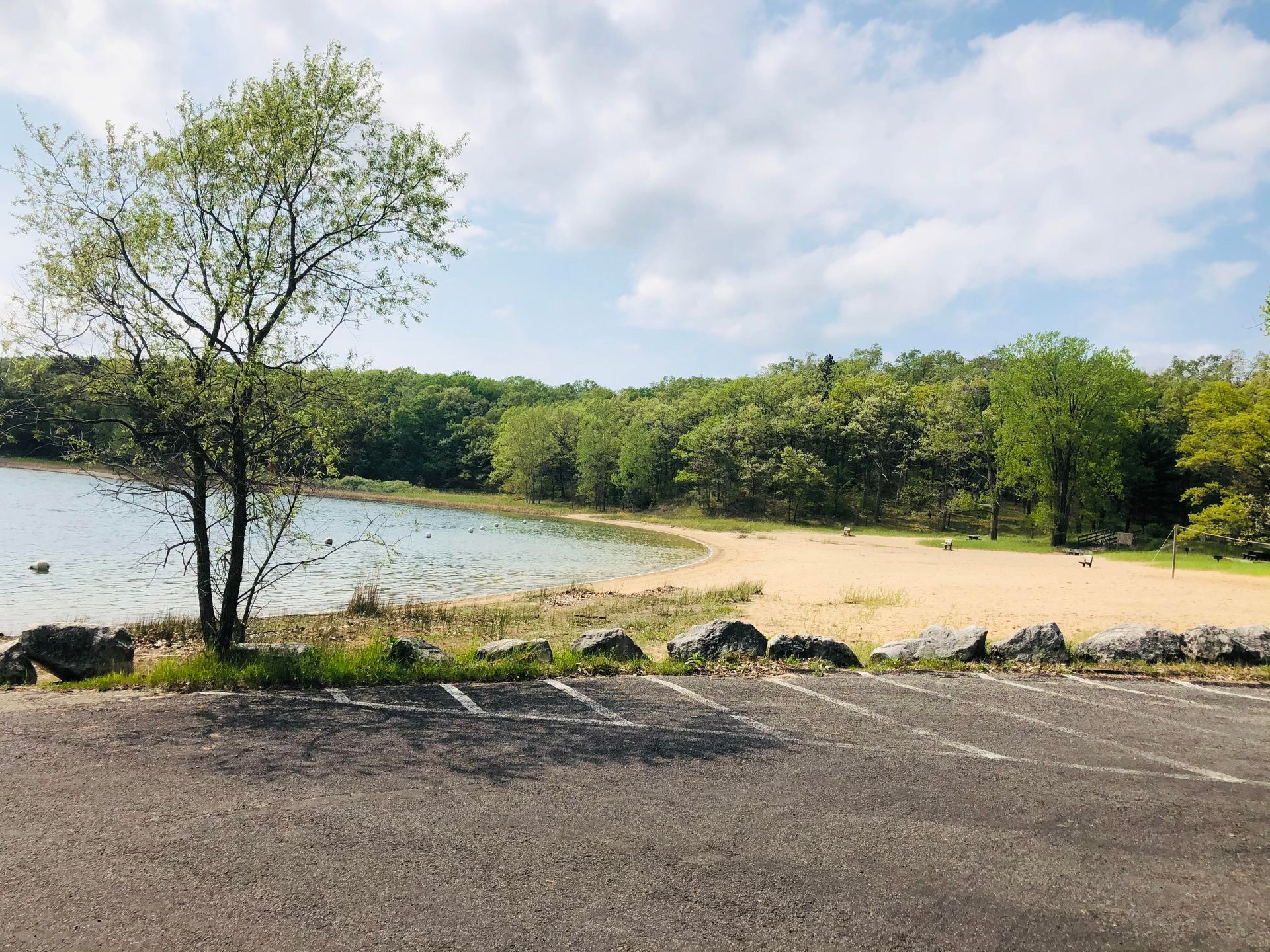 A parking lot next to a lake with a tree in the foreground.