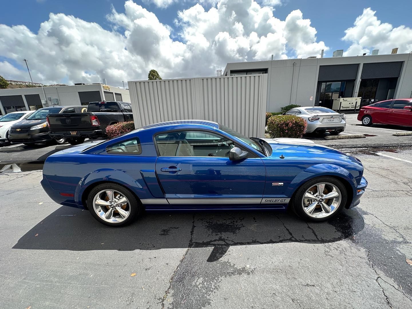  paint protection film  car