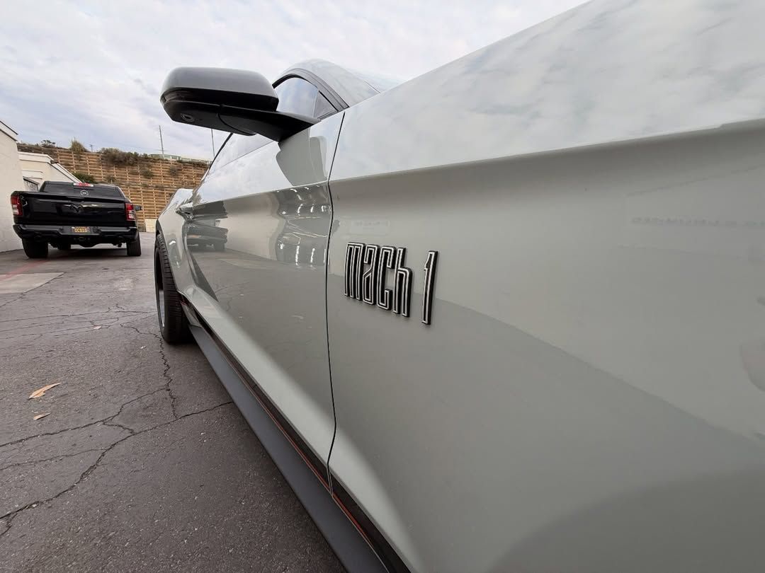 paint protection film on car