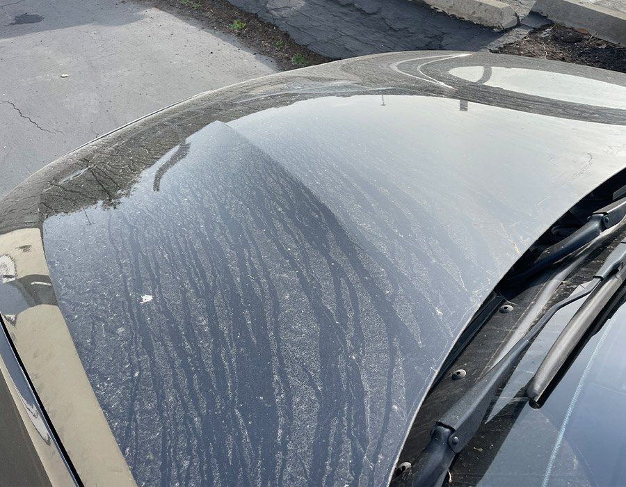 A close up of a black car 's hood and windshield