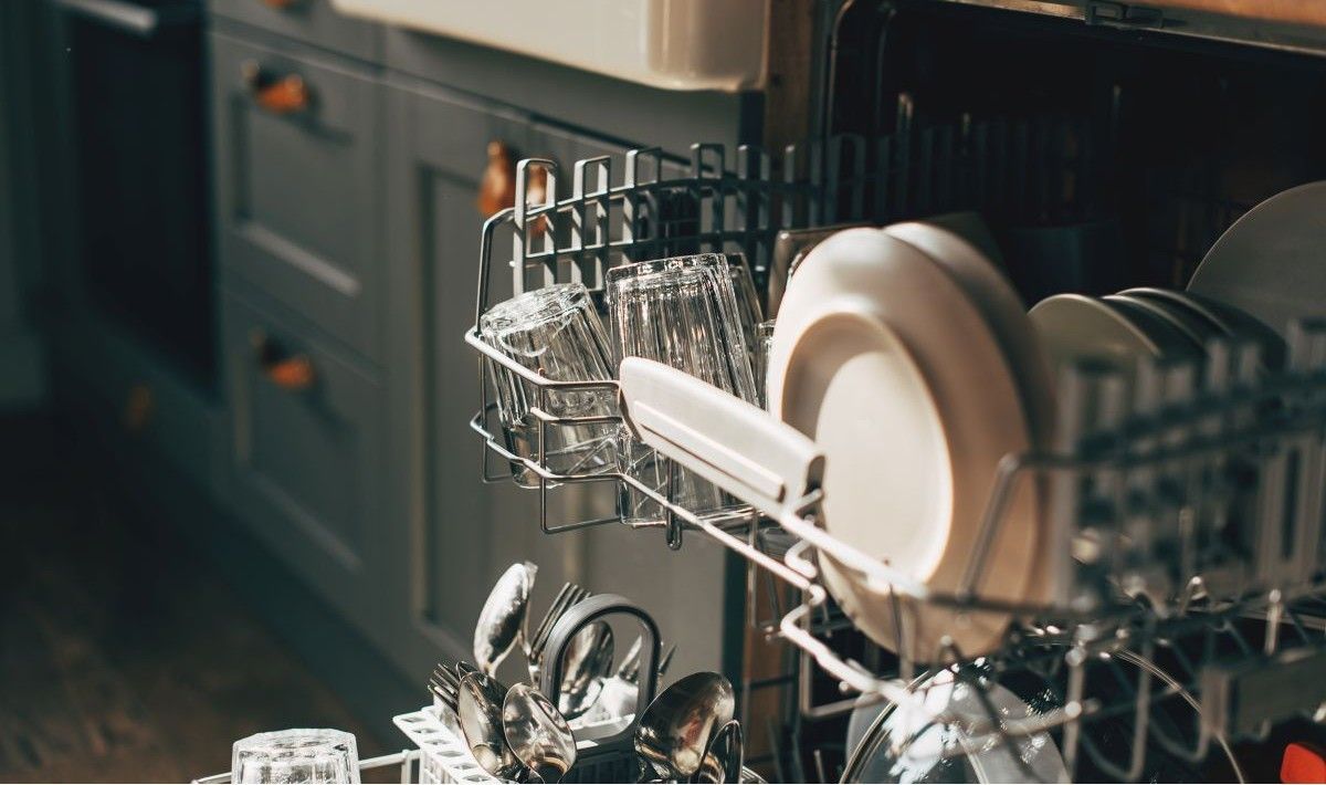 dishwasher not draining