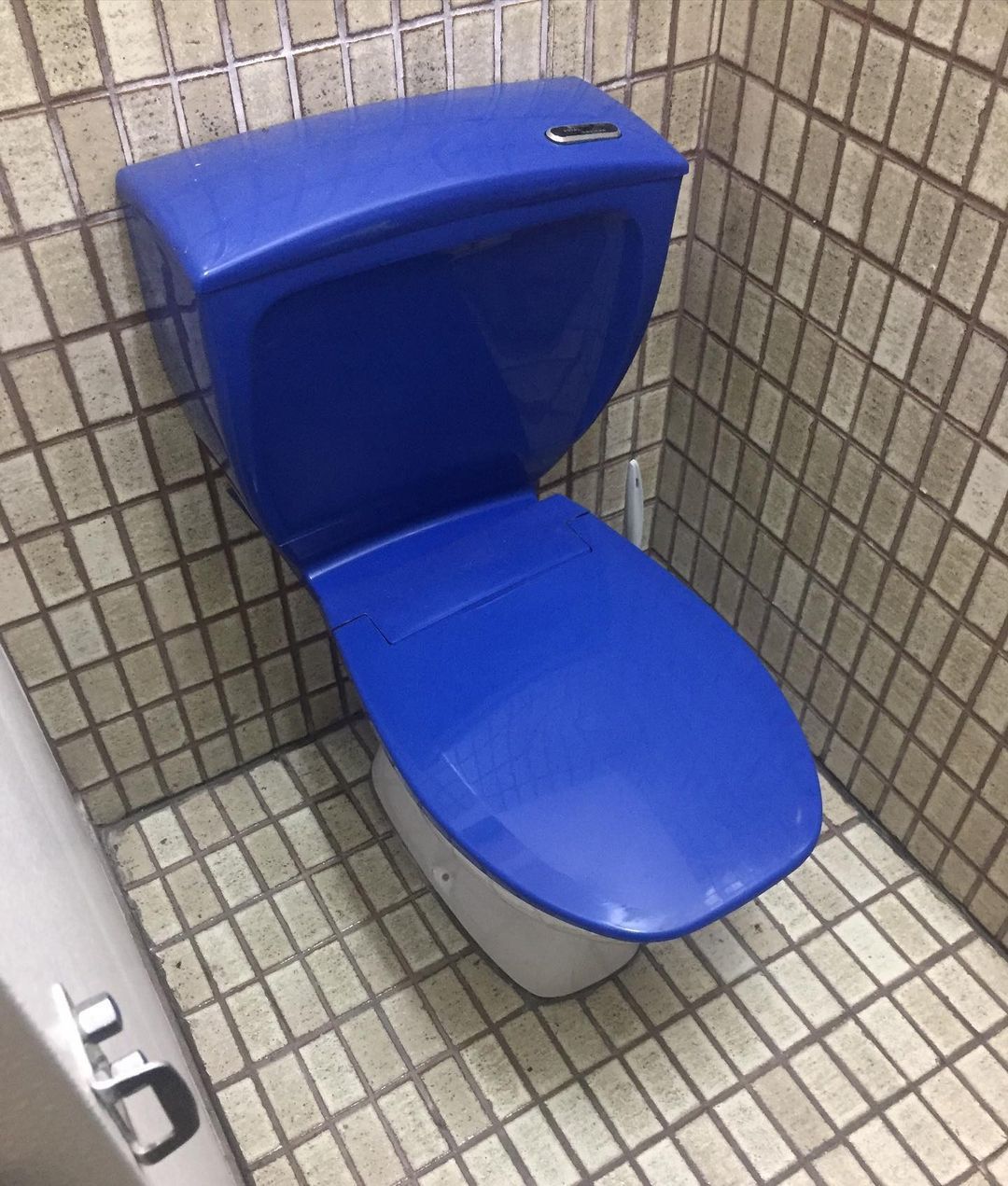 A blue toilet with a blue seat in a bathroom