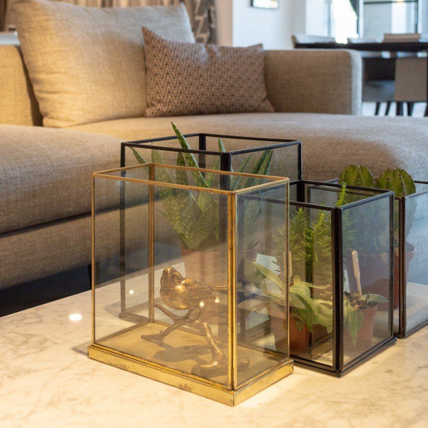 Een woonkamer met een bank en twee glazen bakken met planten erin