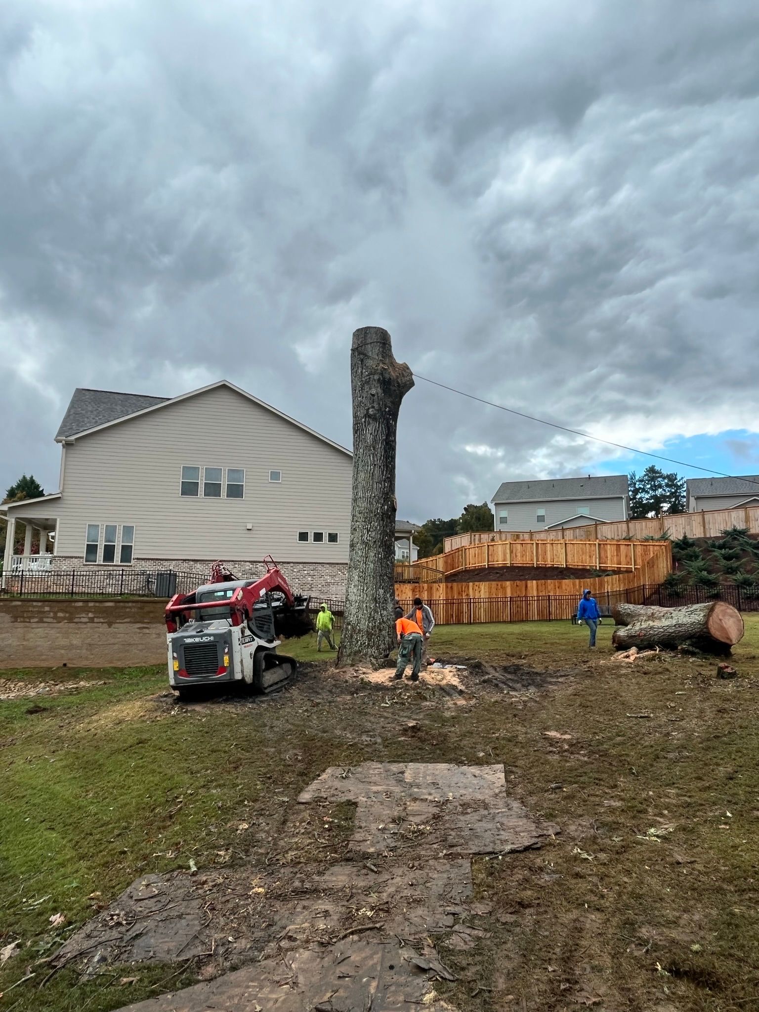 Tree removing service in residential area