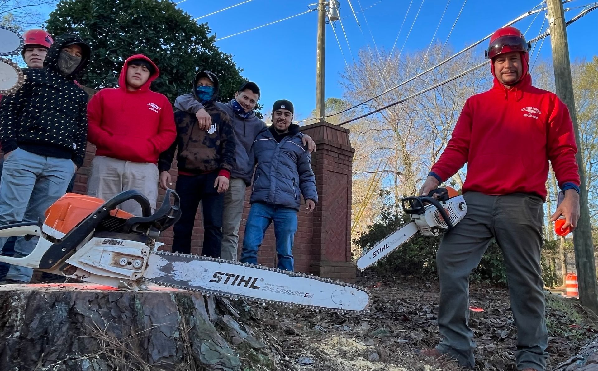 Tree service crew with chainsaws