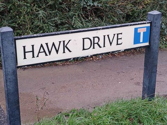 Hawk Drive 