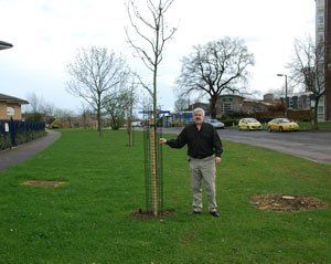 Tree planted in Tyne Crescent