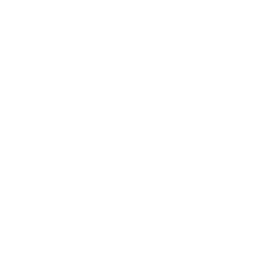 gas strut gold coast logo