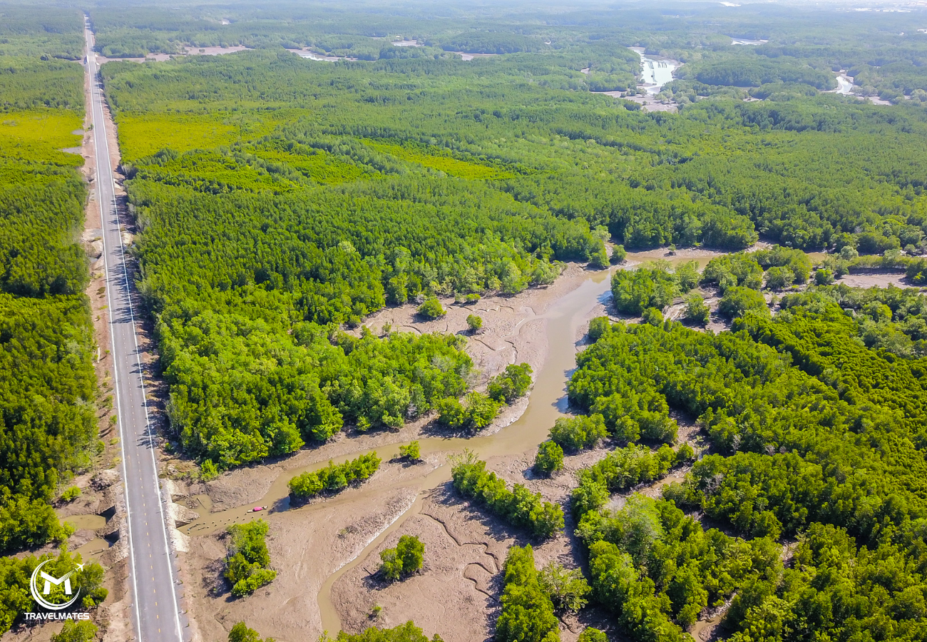 Eco adventure to Can Gio by Travelmates