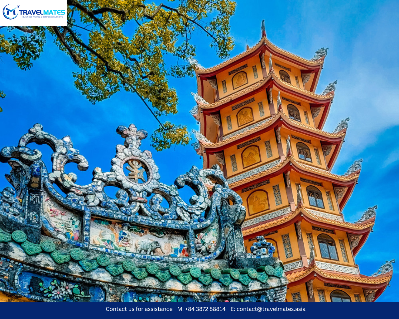 Local farms taking care of their flowers in mekong 