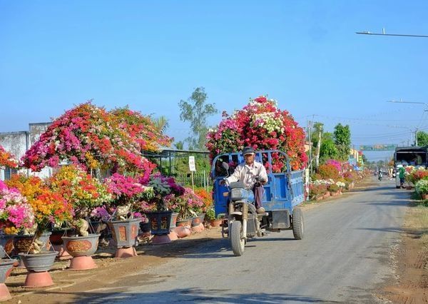 Transporting flowers in Mekong Delta