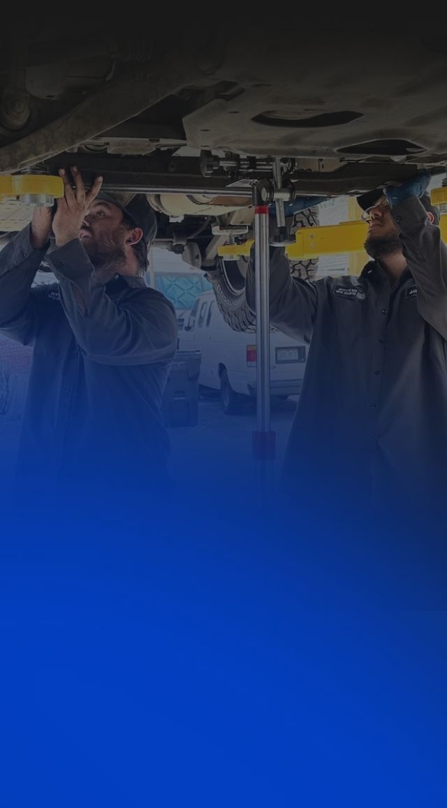 Two mechanics working under a car  | Royal Automotive Repair