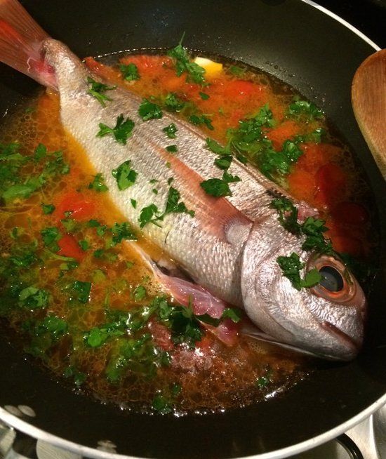 Sea bream with tomato sauce