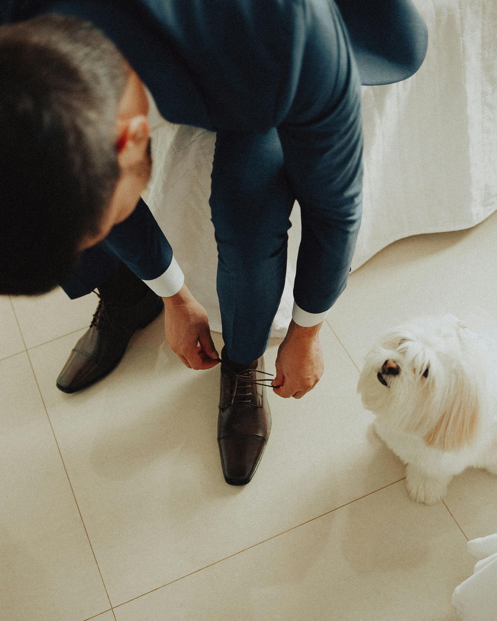 A man in a suit is tying his shoes next to a small white dog