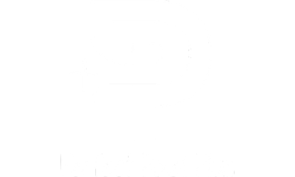 Perfect Pixel Plus Logo