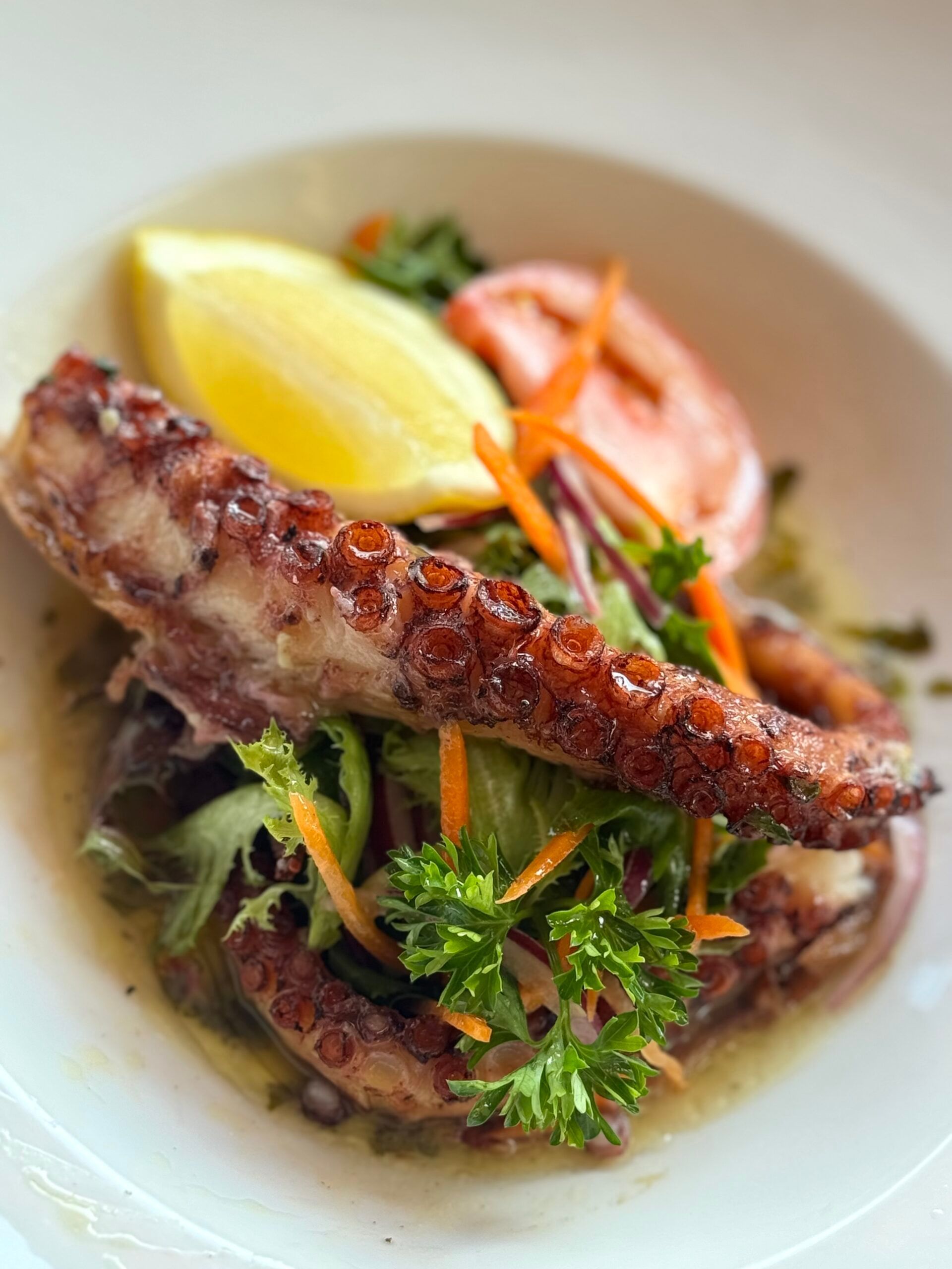 Grilled octopus tentacle on bed of greens, with lemon wedge, tomato, and carrots.