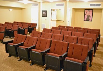 Lumiere Theater Seats for Media Room Seating
