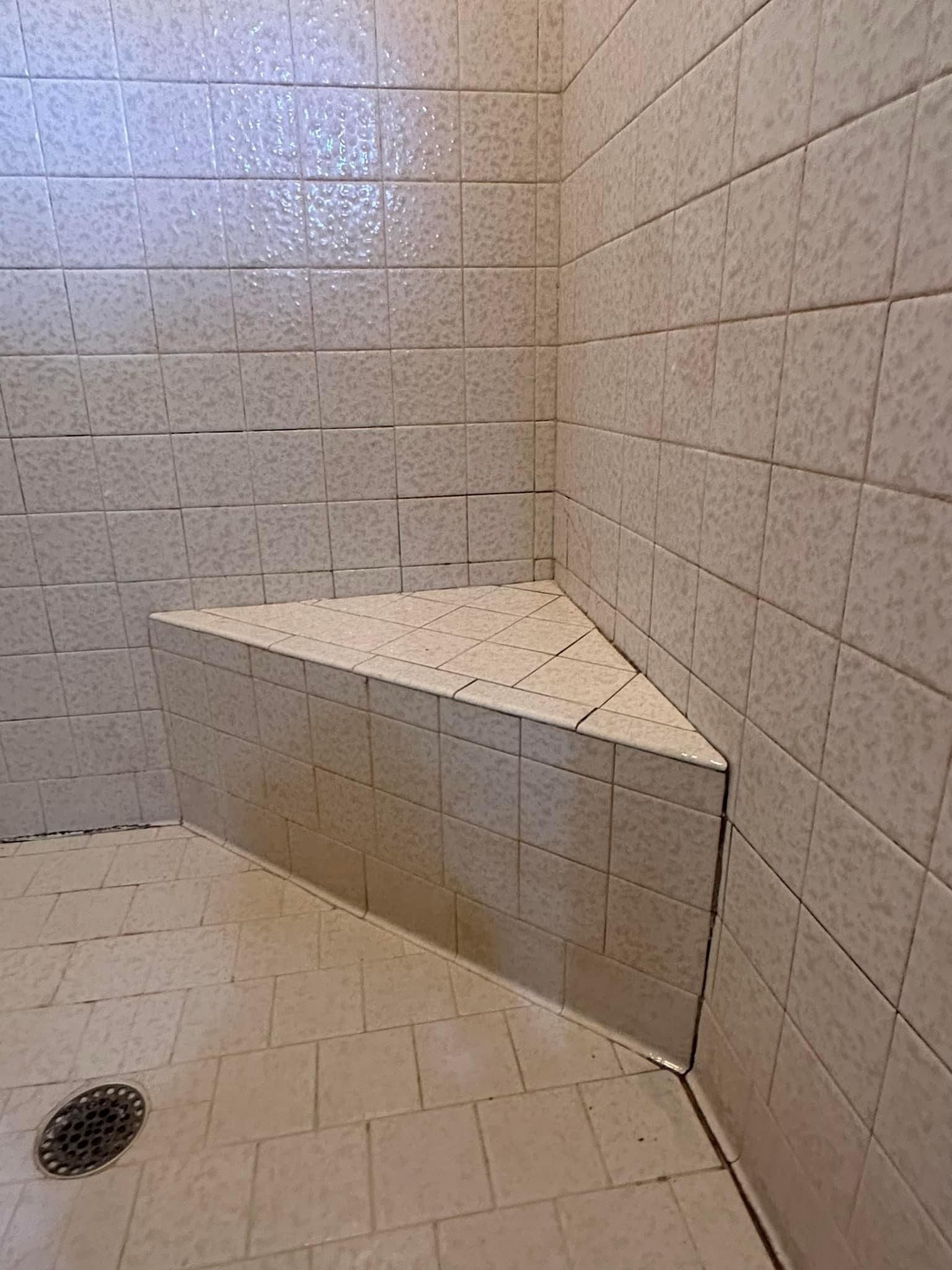 The shower tile and grout was cleaned using powerful showers cleaner. Grout was repaired and mold was removed from the tile and grout surface. 