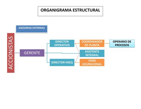 Bielectrón Ltda - Organigrama