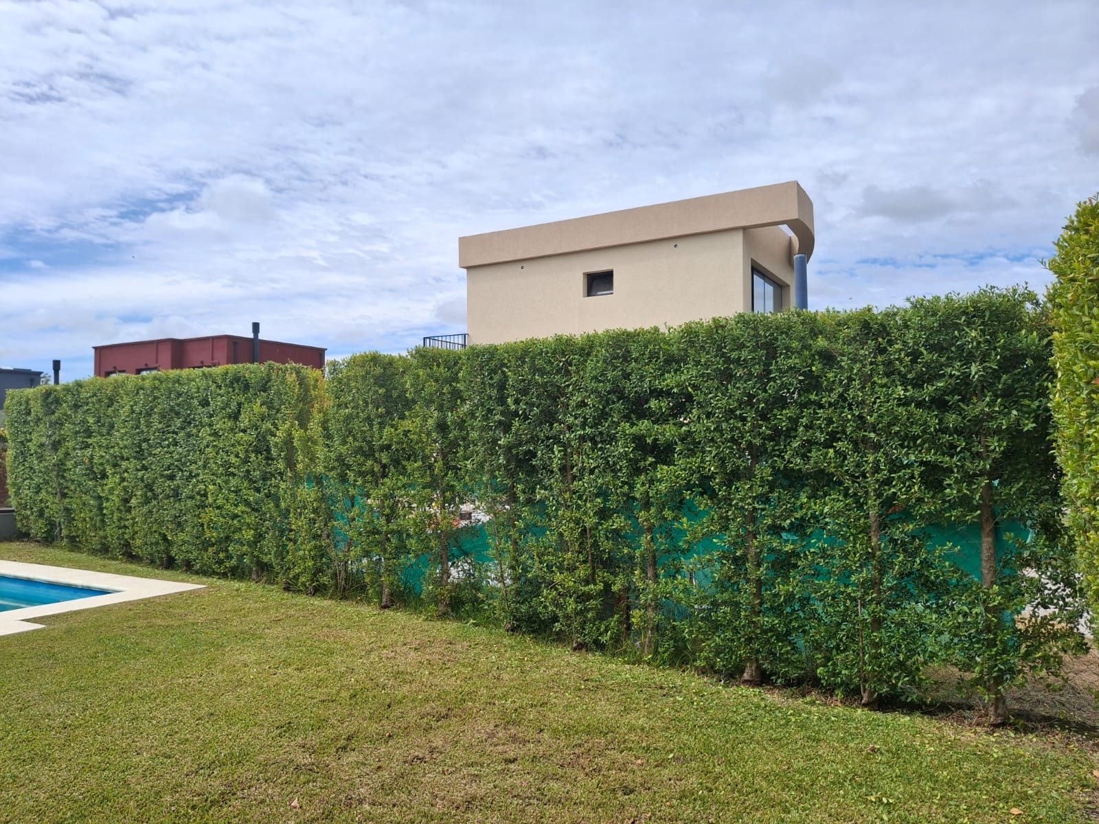 Un seto verde bien cuidado separa un césped con piscina de una casa bajo un cielo nublado.