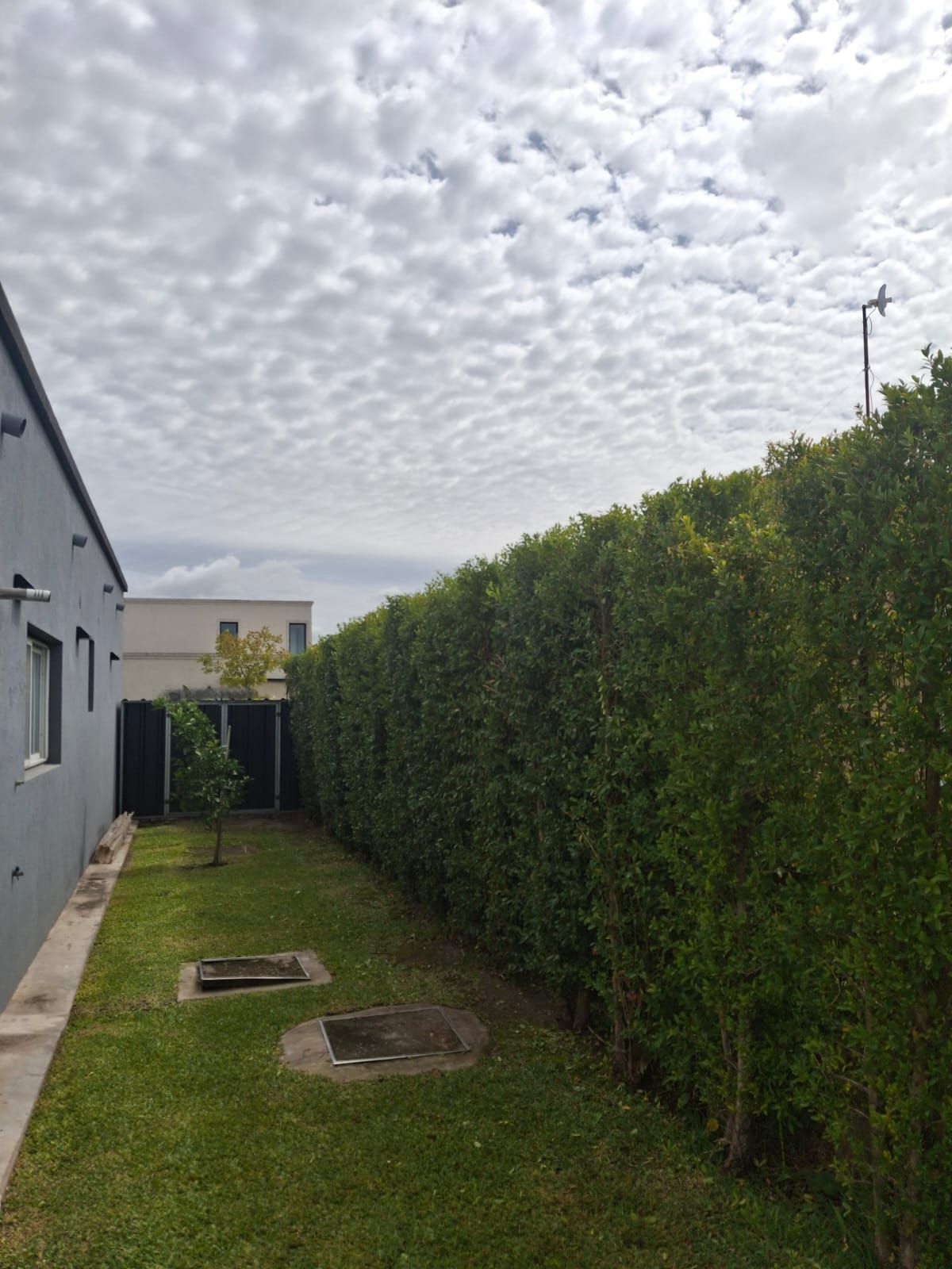 Un estrecho patio cubierto de hierba entre un edificio gris y un alto seto verde bien cuidado