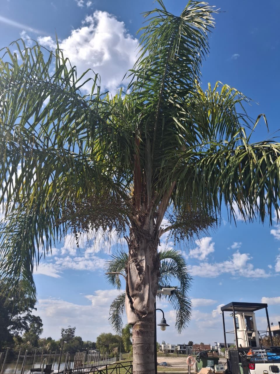 Una persona con cabello oscuro recogido en una sola trenza, vestida con un blazer azul claro