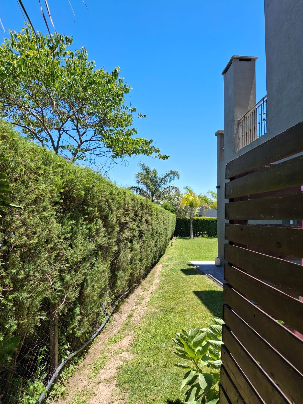 Un seto bien cuidado bordea un jardín cubierto de hierba, junto a una valla de madera que proporciona privacidad