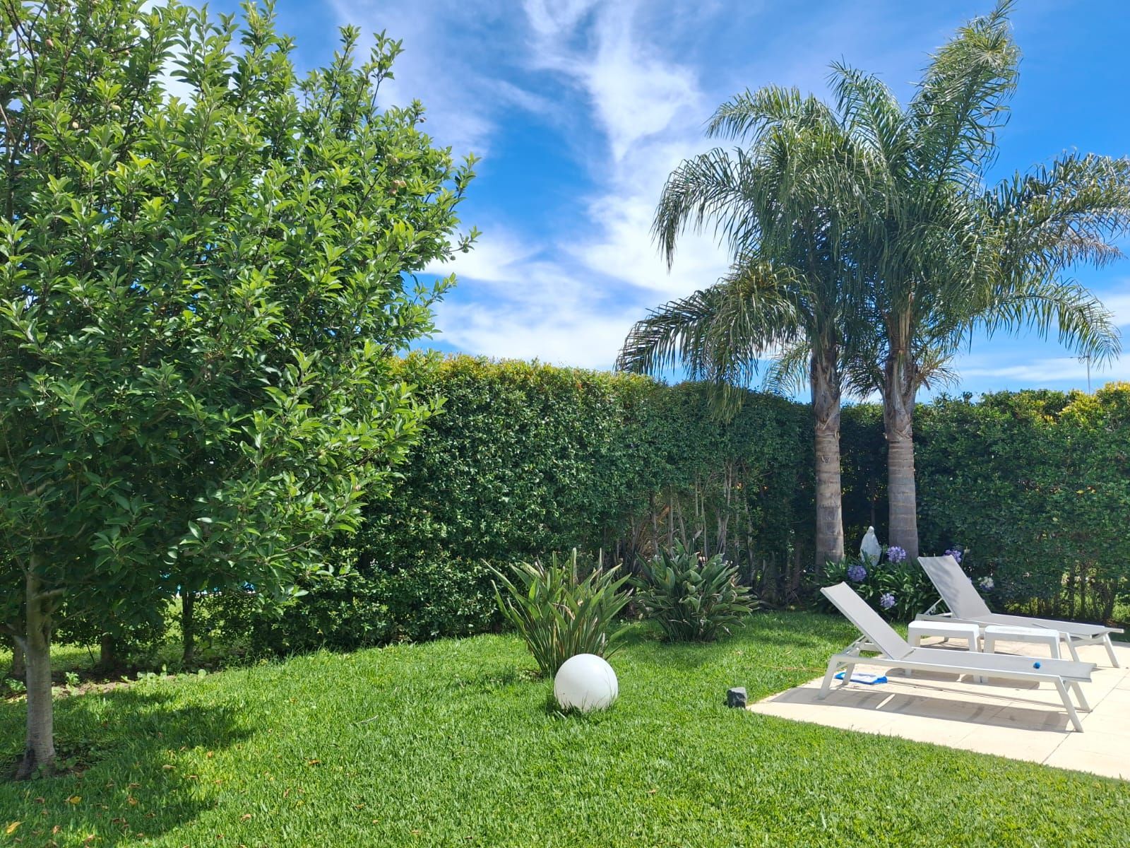Un patio trasero soleado con un césped verde exuberante, árboles, un seto bien cuidado