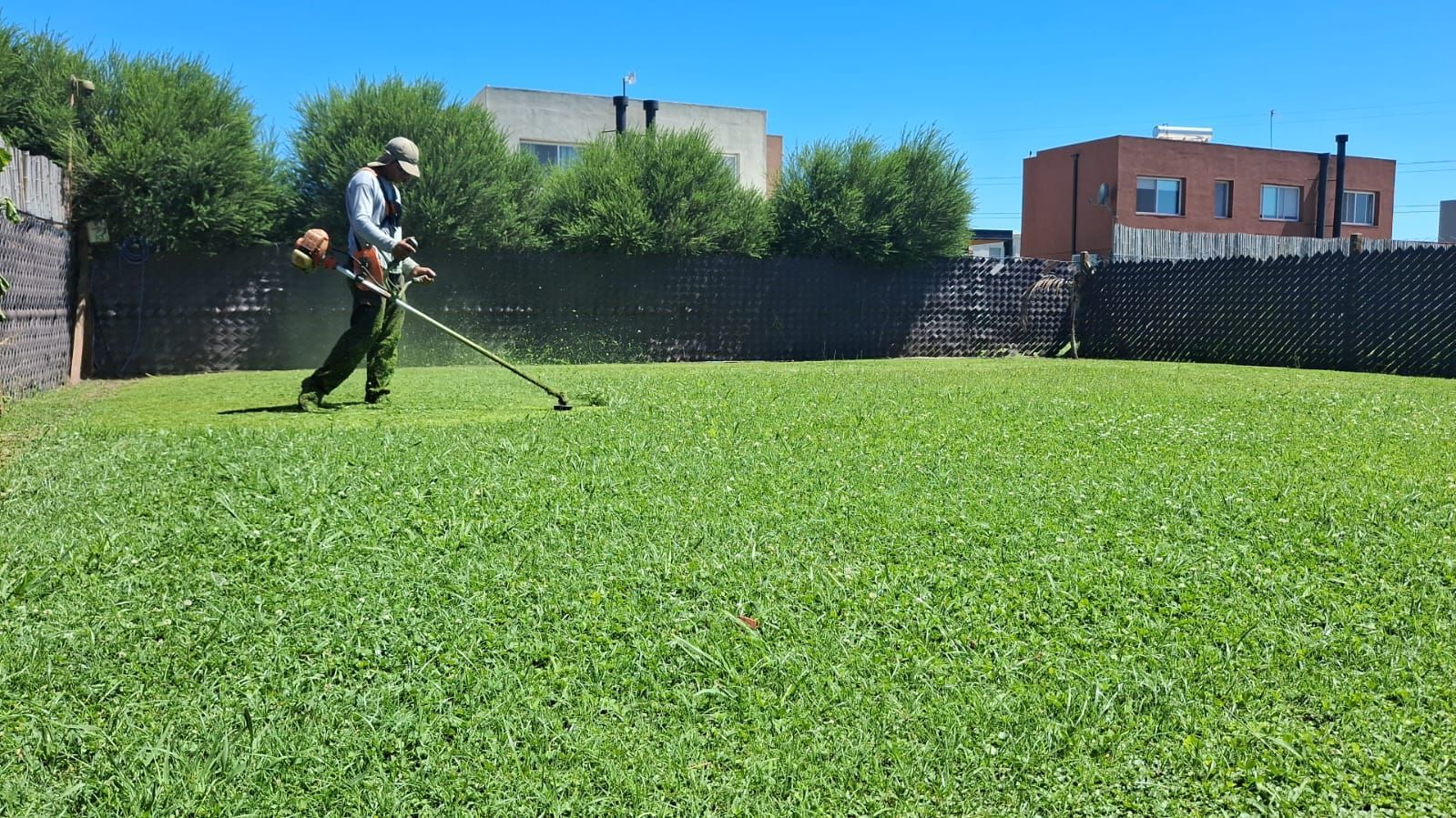 Una persona utiliza una desbrozadora para cortar el césped en un patio trasero soleado, con una valla y casas al fondo.