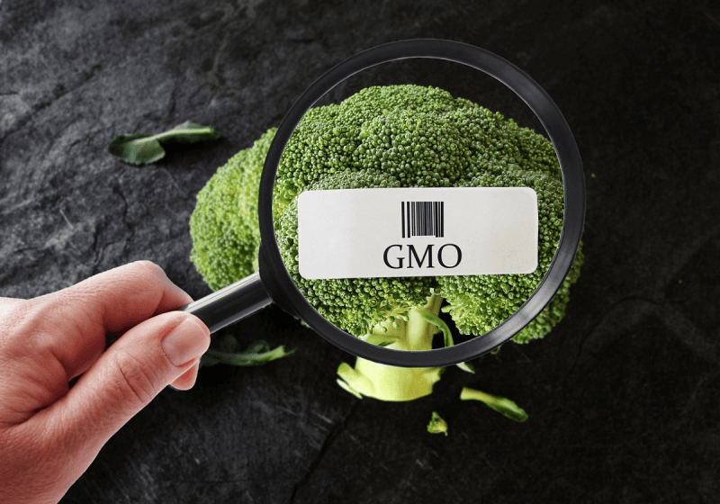 How and why gene editing faces fewer global regulations than GMOs