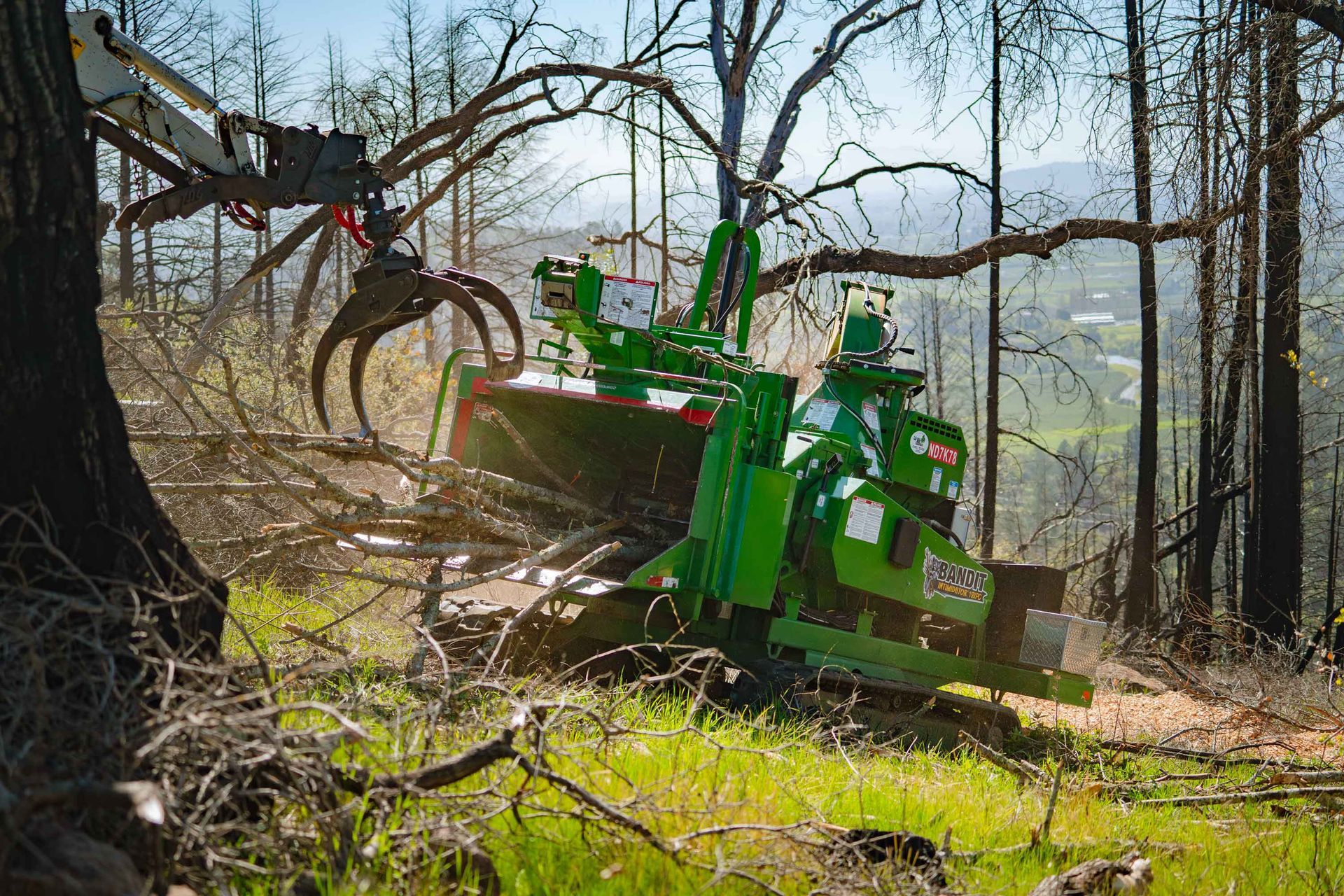 Green Machine — Calistoga, CA — Pacific Tree Care