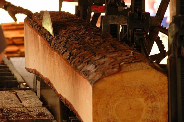 Branch Custom Milling — Calistoga, CA — Pacific Tree Care