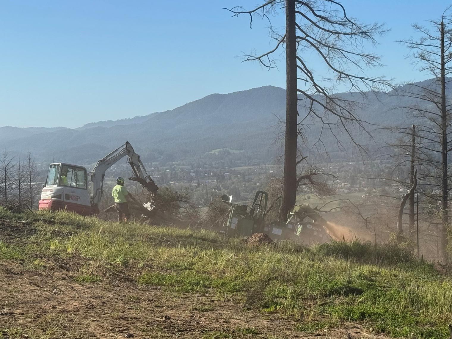 Tree Cutting — Calistoga, CA — Pacific Tree Care