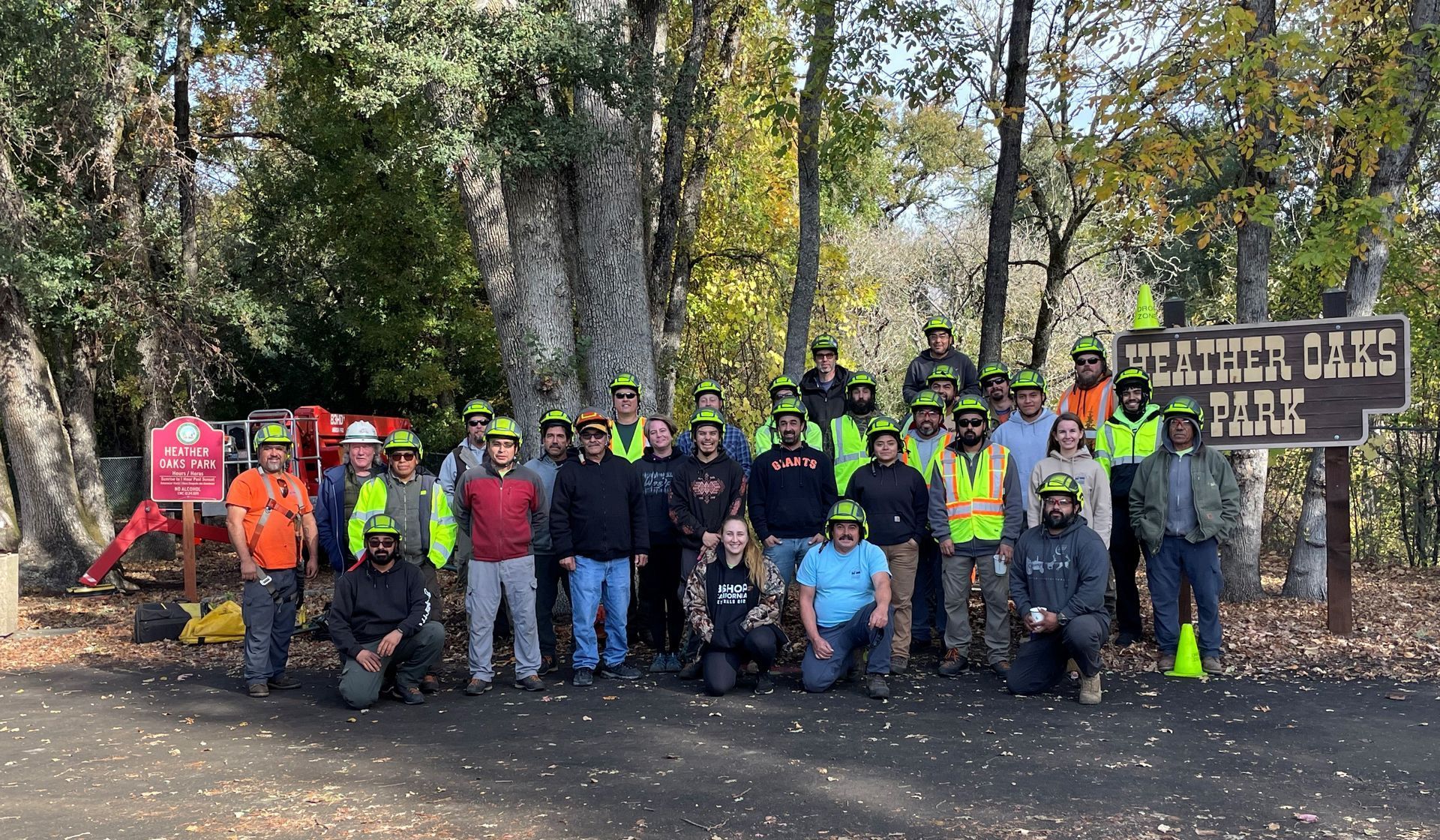 Team Of Professional Tree Care — Calistoga, CA — Pacific Tree Care
