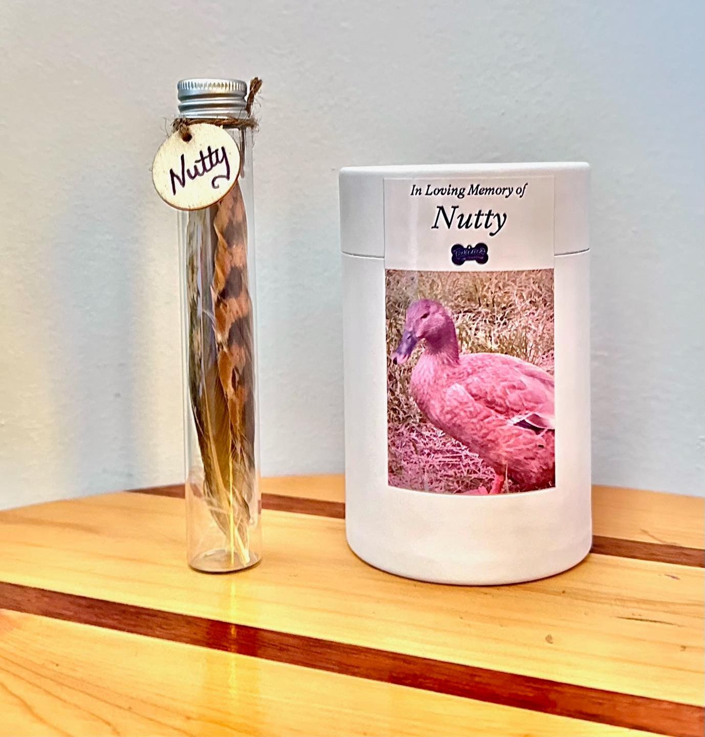 A Duck Memorial With a Feather in a Vial and an Urn With a Photo of a Brown Duck — Furever Pet Cremations in Gladstone, QLD