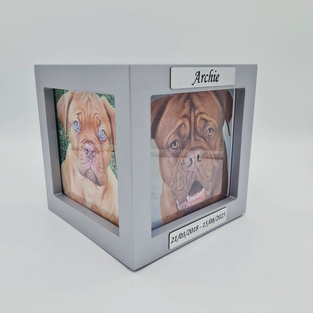 A Gray Pet Memorial With Two Photos of a Dog — Furever Pet Cremations in Rockhampton, QLD