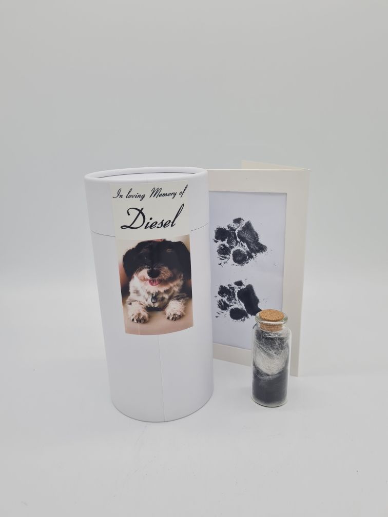Pet Memorial Set: Urn With Photo, Paw Print Art, and Small Vial of Ashes — Furever Pet Cremations in Rockhampton, QLD