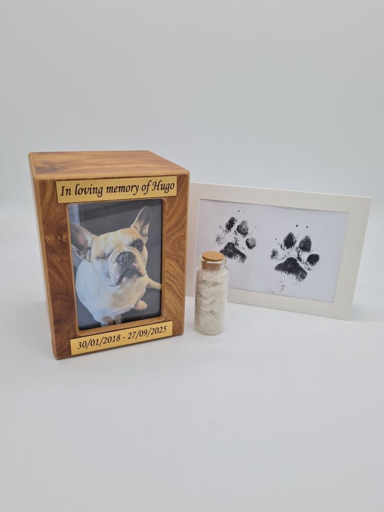 Wooden Pet Memorial Box With Photo, Paw Print Art, and Small Jar of Ashes — Furever Pet Cremations in Rockhampton, QLD