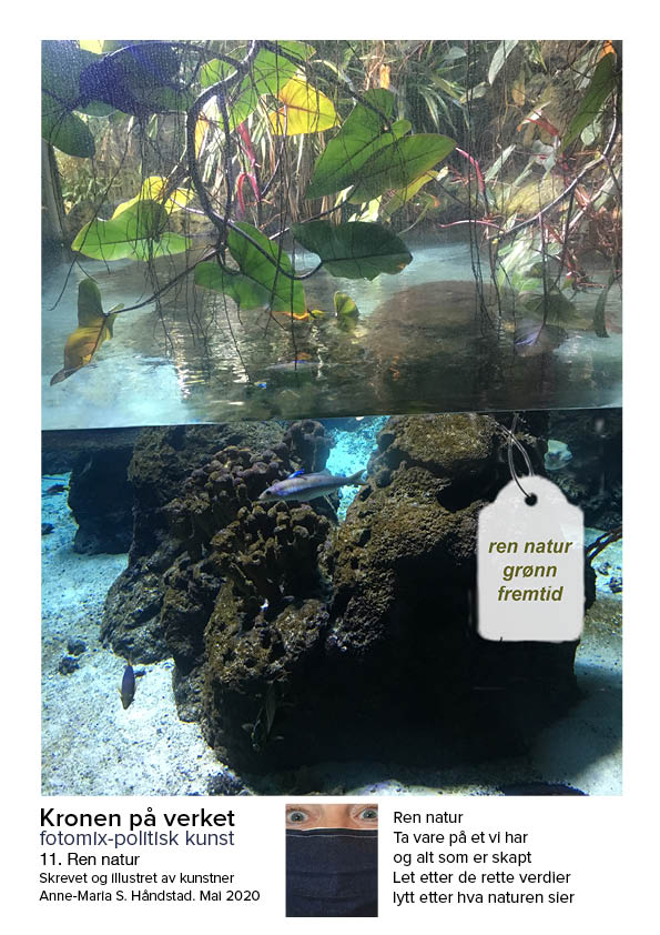 Et bilde av en fisketank med et merke på.