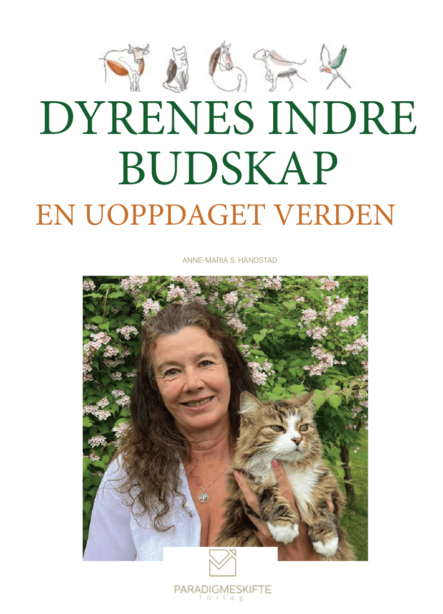 Book cover: Woman holding cat. Title text 