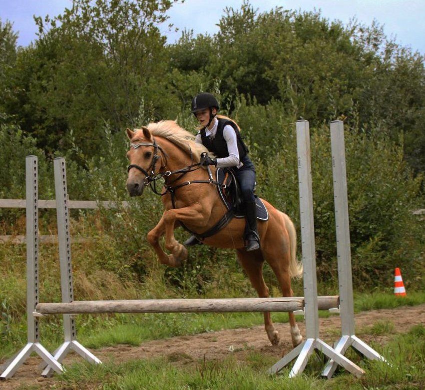 En kvinne som rir på en brun hest og hopper over et hinder