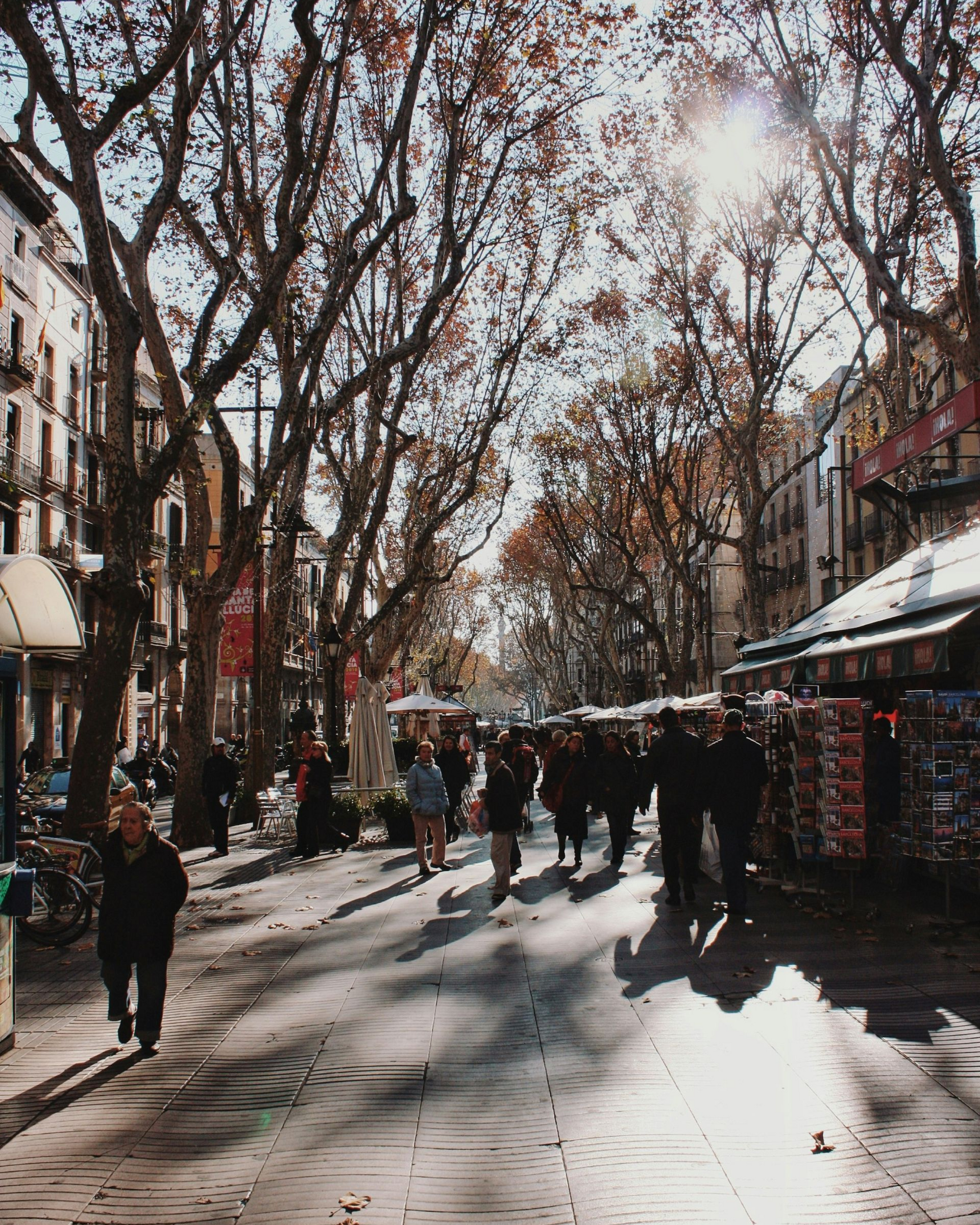 Vegetarische Wintergerichte in Barcelona mit gemütlichen Gràcia-Gassen und katalanischen Aromen.