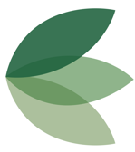 Shalom Ministries logo
