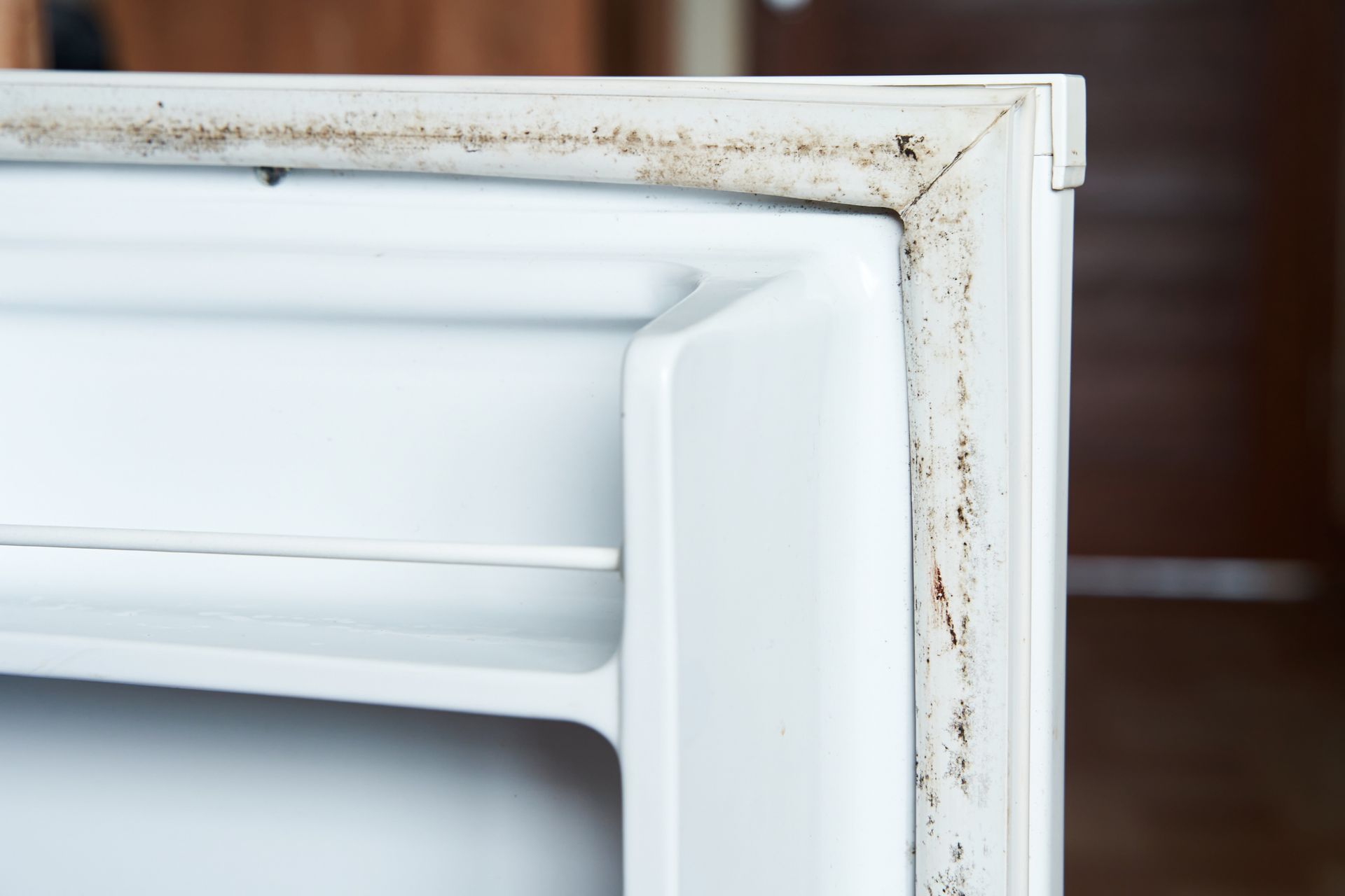 A close up of a refrigerator door with mold on it A close up of a refrigerator door with mold on it