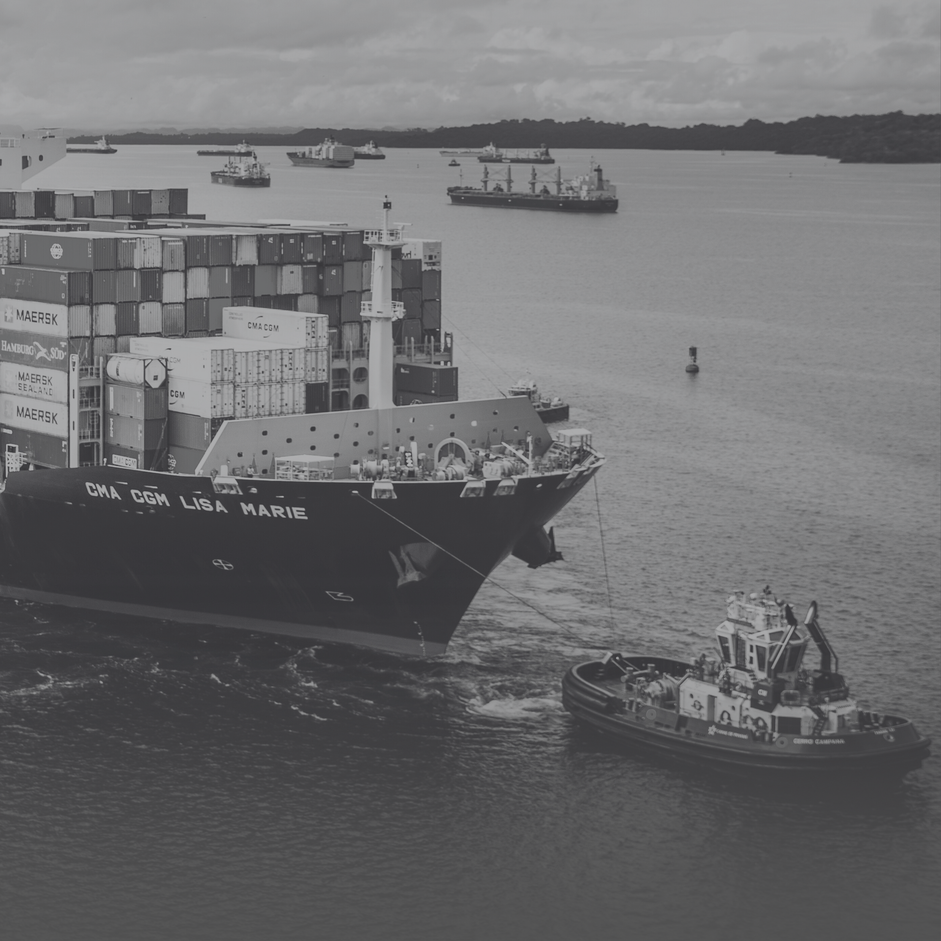 Cargo ship at sea, symbolizing TripExcess® simplifying cargo insurance challenges caused by tariffs.