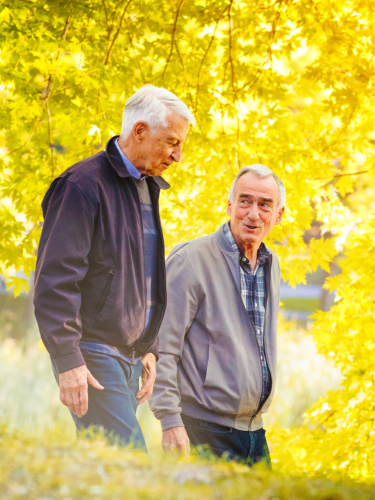 Two older men are walking in a park next to a tree.