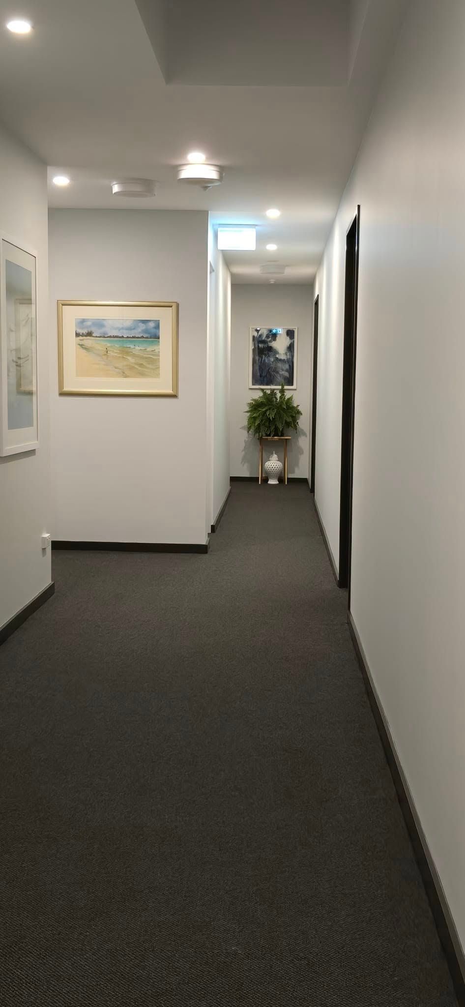 A Long Hallway With a Picture on the Wall and a Plant in a Pot — JAX Painting Services in Central Coast, NSW