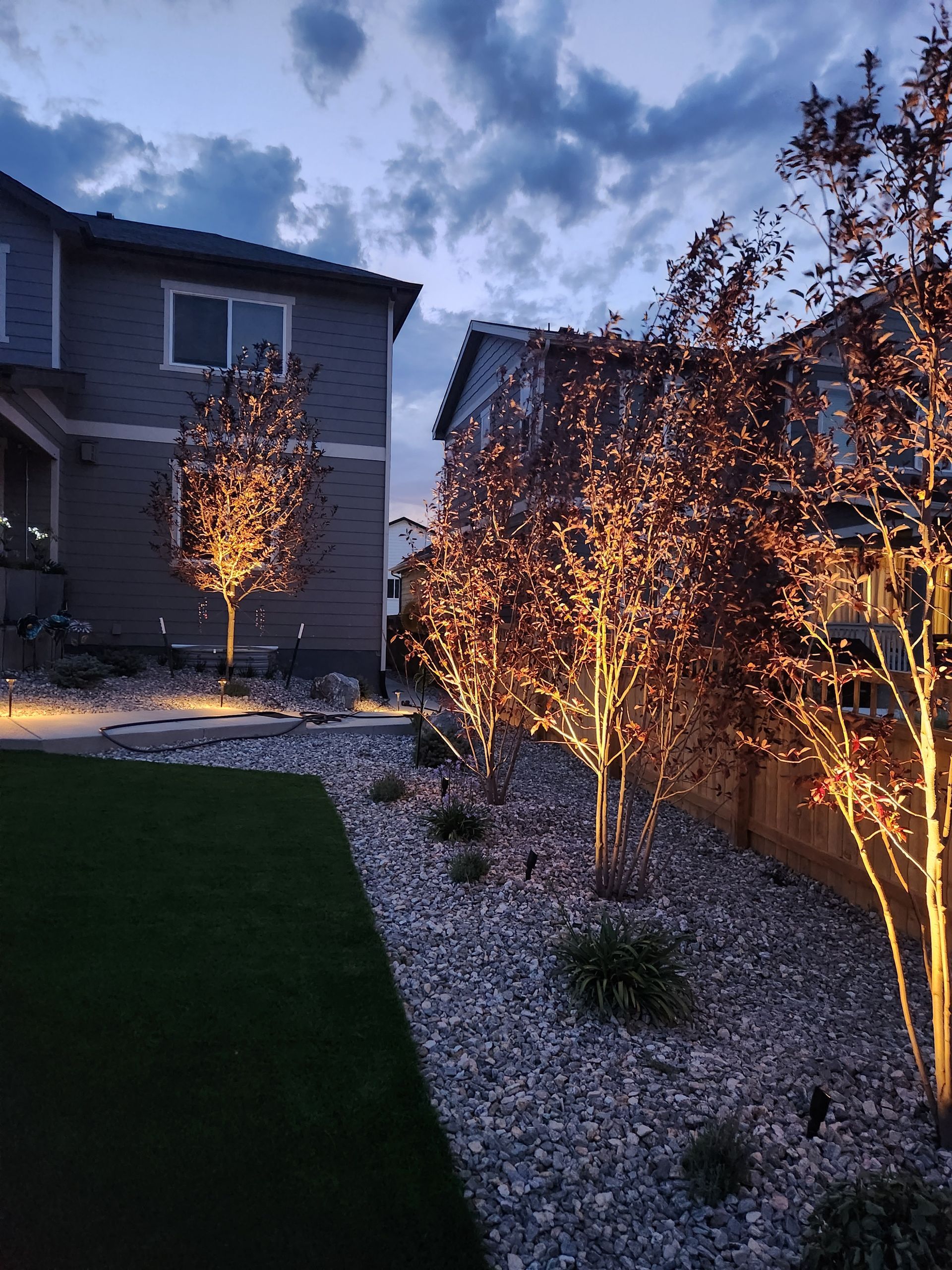 Shrub lighting